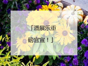 潘展乐重磅官宣！